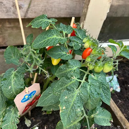 Boutique Apartamento *