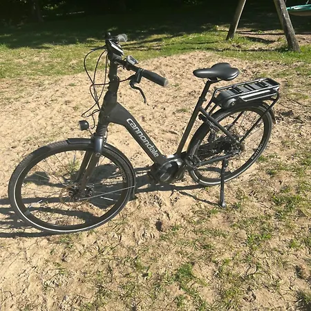 Boutique * 잔드보르트