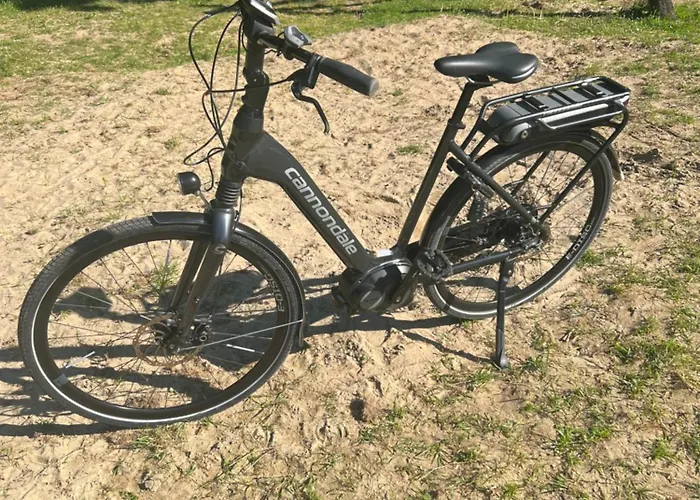 Boutique * 잔드보르트